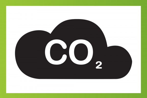 14 e-commerces belge diminuent leur impact CO2