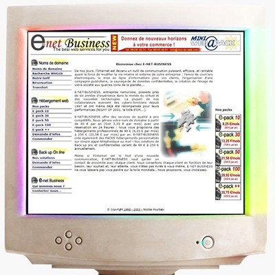 Naissance d’e-net. : le site web devient outil stratégique