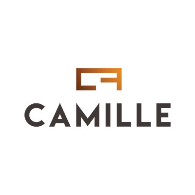 Elaboration du site web de Camille-Dominique Loroy par E-net Business