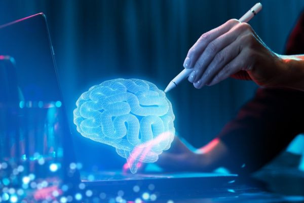 Utilisation IA neurosciences améliorer campagnes SEA en Wallonie